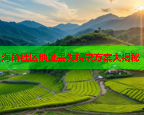 海角社区地址丢失解决方案大揭秘