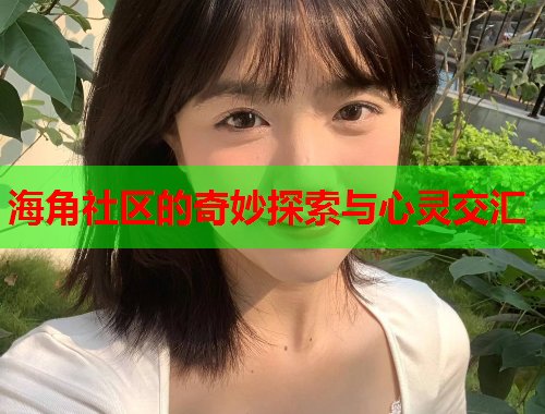 海角社区的奇妙探索与心灵交汇